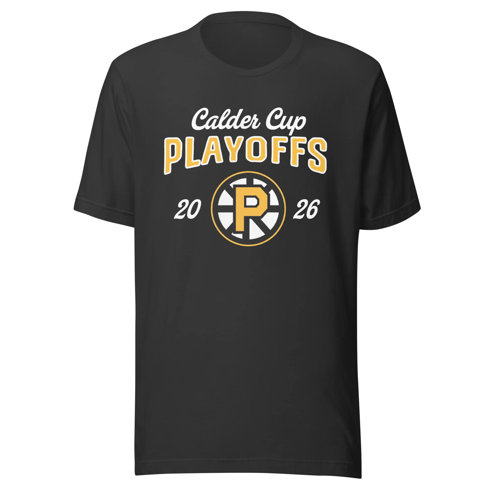 Providence Bruins